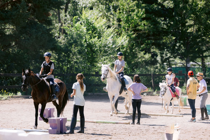 stage equestre vacances scolaires france